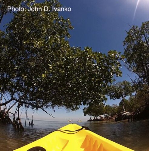 Ecotourism Adventures in Miami and Fort Lauderdale, Part 1